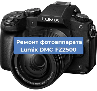 Замена затвора на фотоаппарате Lumix DMC-FZ2500 в Ростове-на-Дону
